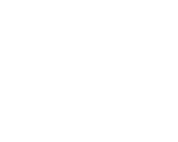 Zignia Live